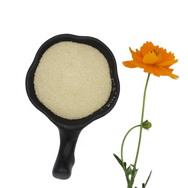 halal gelatin brand beef bovine gelatin food grade Gelatina powder with great price